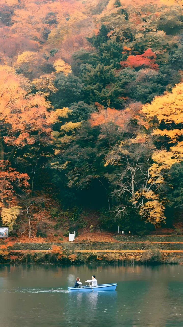 星辰恋曲